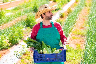 echte-pflanzen-frisch-von-der-farm