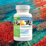 Astaxanthin Nahrungsergänzungsmittel mit Spirulina.