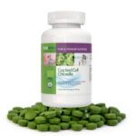 Flasche mit Cracked Cell Chlorella-Tabletten