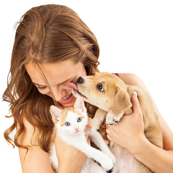 Junge Frau hält Katze und Hund in den Händen auf Brusthöhe, der Hund leckt ihr das Gesicht ab, die Frau lacht.